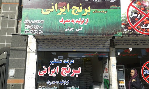 فروشگاه برنج حمید
