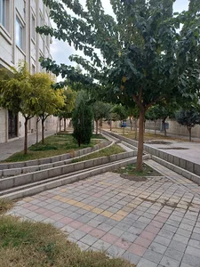 فضای سبز