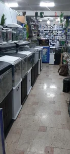 آکواریوم بلو 4