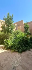موزه اسناد و نسخ خطی 4