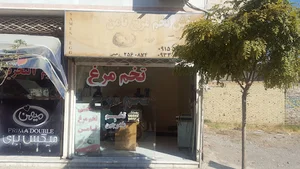 پخش تخم مرغ ثامن
