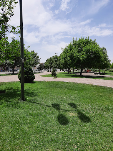 رجایی
