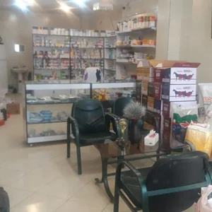 داروخانه دامپزشکی خانم دکتر هاشمی