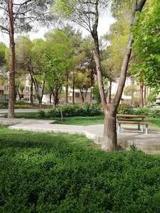 بوستان گلستان