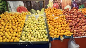 میوه سرای آلا - میوه فروشی آلا