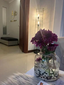 مرکز لیزر آریانا
