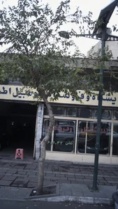 نمایشگاه و فروشگاه اتومبیل اطمینان 2