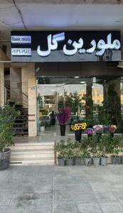 ملورین گل 2