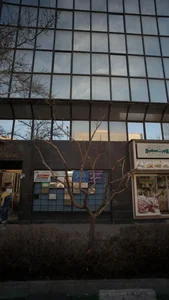 دکتر سوسن سکوتی 2