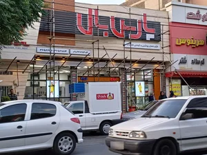 پروتئین پارس بال 2