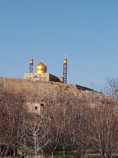 امامزاده عبدالرضا - روستای توده
