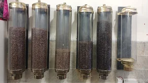 viona coffee