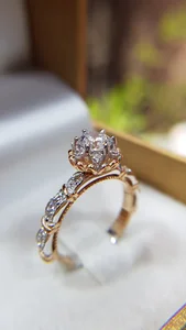 حلقه نایس