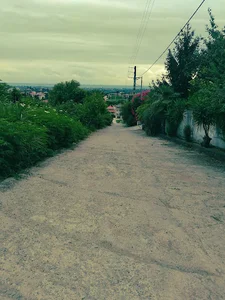 ماشین های اداری نگار