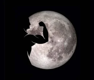 باشگاه بدنسازی آی فیت