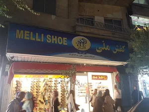 کفش ملی 501 سلسبیل