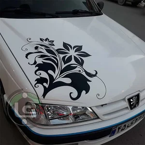 شیشه دودی جهان نما