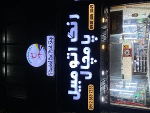 رنگ اتومبیل پامچال