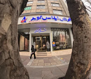 فرش الماس کویر کرمان 2
