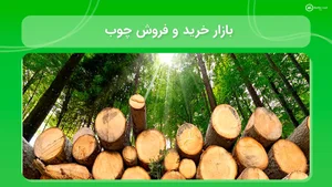 فروشگاه چوب حاج صالح