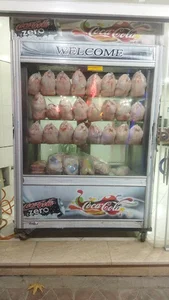 مرغ و ماهی شریفی
