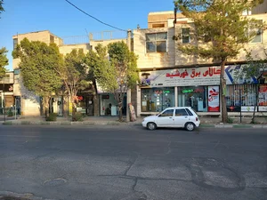 شوکودامس