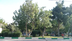 بوستان میلاد