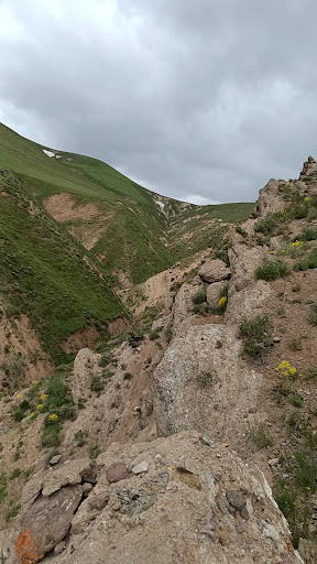 دوز دره سی باشی