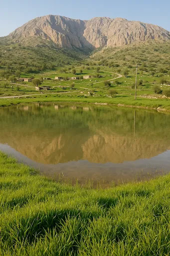 گوراب تردپ