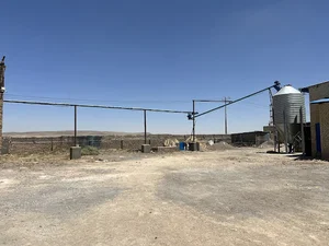 مرغداری حسینی طوبی (برند ماه پیشونی)