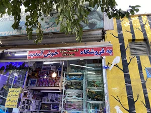 پخش باطری و اسکوتر برقی حسنی تبار