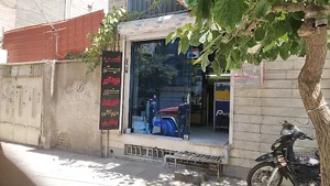 پویان سیستم برق اتومبیل