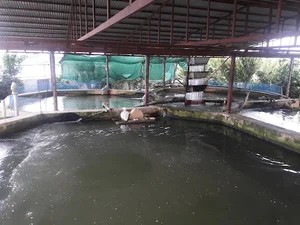 Jafari Sturgeon Breeding Center