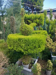 اربیل عراق