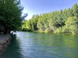 بوستان جنگلی باغبادران