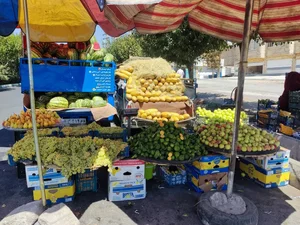 ارزان سرای برادران 4