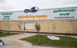 پسته رفسنجان