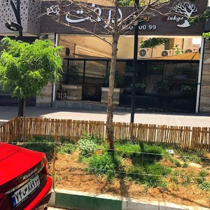 کافه رستوران درخت ژینکو