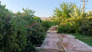 شهرداری باب انار
