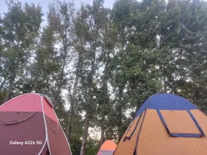 بوستان بلوار 5
