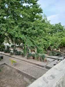 پارک فیروز 3
