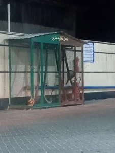 جایگاه سوخت عبدغیور 4