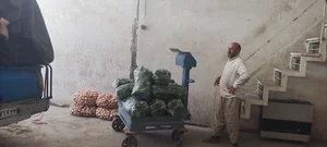 بنگاه میوه و تره بار حاج محمد رضا هادیان
