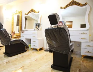 سالن زیبایی پانیذ طلایی