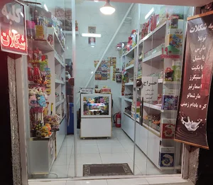 الکتریکی برادران