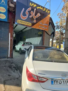 تشخیص رنگ عبادی
