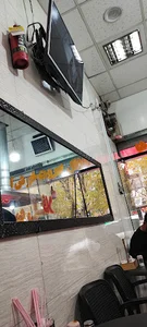 فلافلی ساندویچی بیروتی حافظ