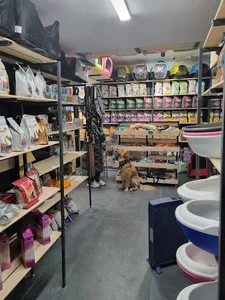 پت شاپ ترمه