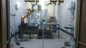 سوپر گوشت سلامت
