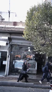 گوشت پارس 2